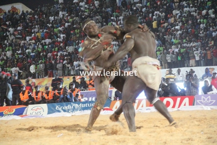 21 photos - Vendredi 31 janvier 2014: Une journée parfaite pour Modou Lô