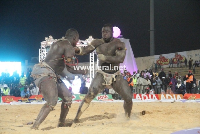 21 photos - Vendredi 31 janvier 2014: Une journée parfaite pour Modou Lô