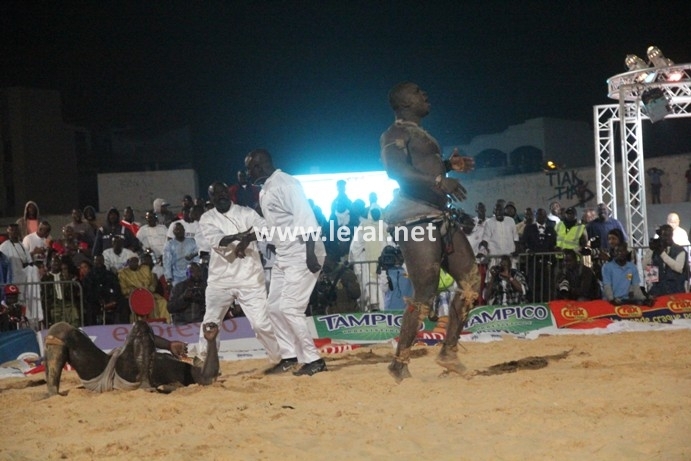 21 photos - Vendredi 31 janvier 2014: Une journée parfaite pour Modou Lô