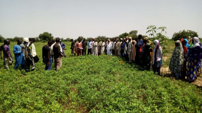 Zones Nord et Centre : Un programme d’amélioration de la connectivité des zones agricoles, bientôt lancé