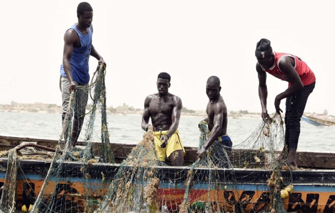 Le poisson presque introuvable : Les pêcheurs inquiets