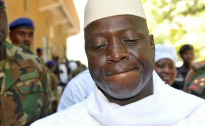 Des milliers de tonnes de bois de rose abattues entre le Sénégal et la Gambie : Yahya Jammeh sous la menace suisse