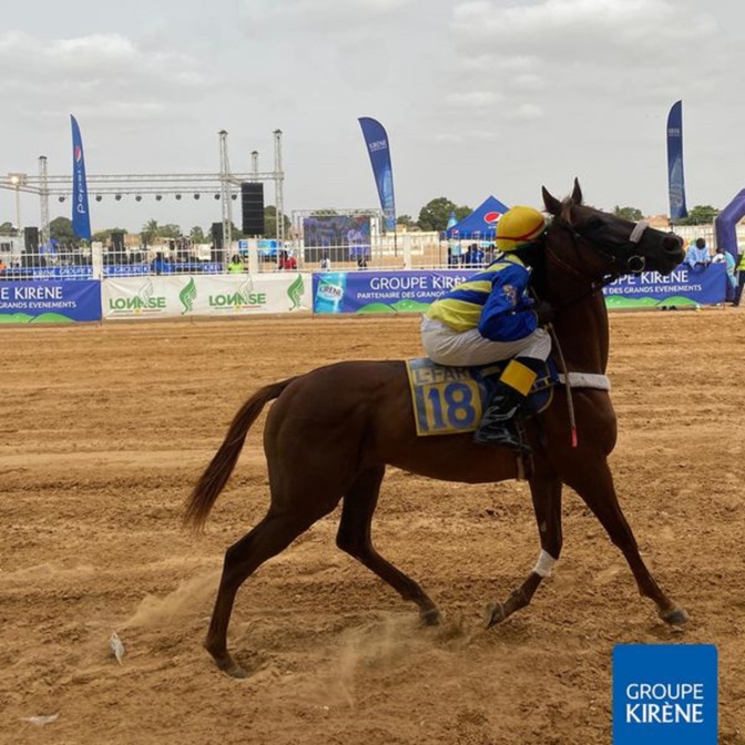 Sports équestres : "Major" de l’écurie « Réunie » remporte pour la deuxième année consécutive, le Grand Prix Kirène