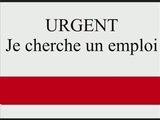 Leral/Job: Un jeune étudiant en master II anglais cherche emploi