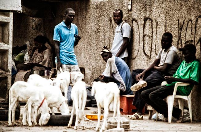 Emploi du temps / ANSD: « Les Sénégalais passent 17 heures de temps par jour, sans activité »