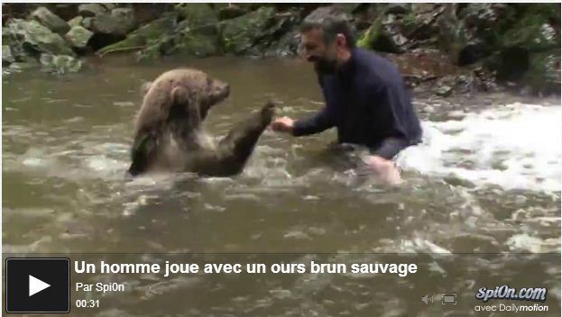 Un homme joue avec un ours sauvage