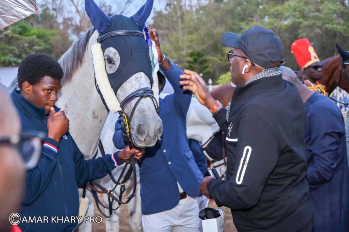 Concours national officiel de sauts d'obstacles: Me Ndèye Lika Ba marraine de la 2e édition