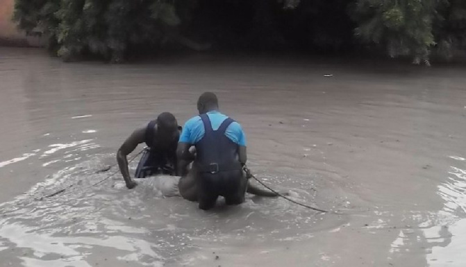 Diourbel / Kambou Souf : Un homme se noie dans le bassin de rétention d'eau