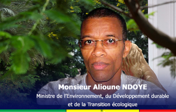 Environnement : Le manque d’arbres dans la capitale étouffe Dakar, selon le ministre Alioune Ndoye