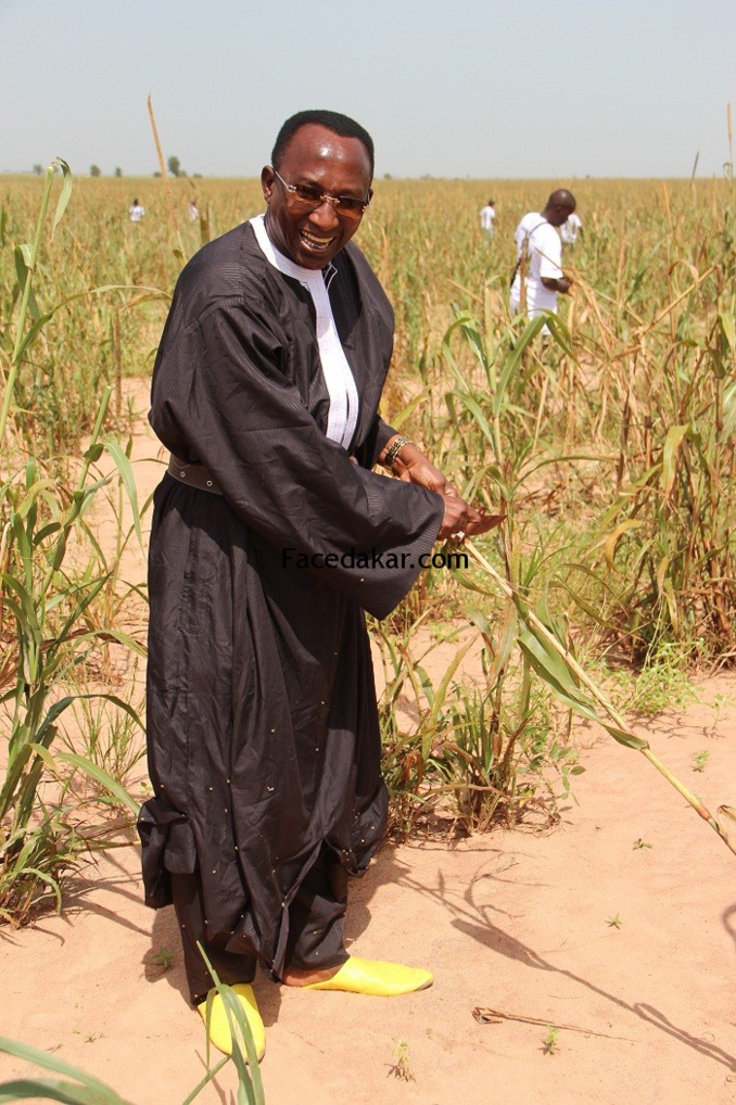 Portrait - ‘’Pekh’’: Courage ou la revanche d'un incompris (Mansour Dieng, Icône)