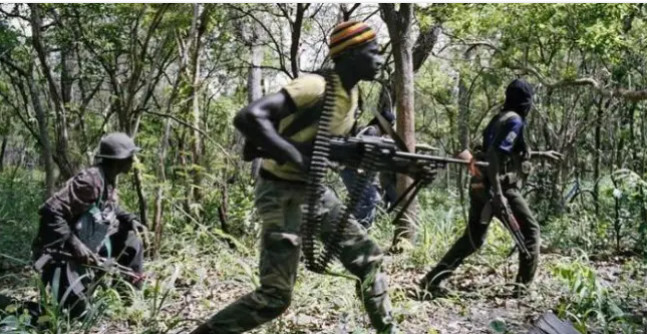 Casamance : Un accrochage entre l’armée et le MFDC, fait deux morts