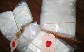 Lutte contre le trafic international de drogue : Deux (02) Kg de cocaïne saisis à Cabrousse dans la région de Ziguinchor