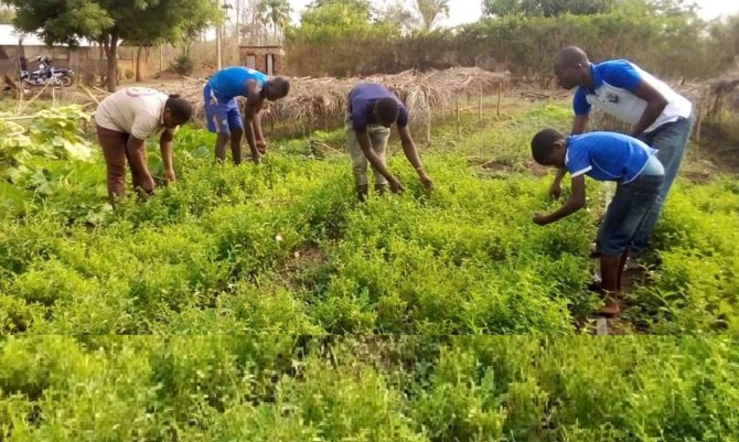 Bambey / Camp agro-écologique de Nguéguèye : Un moyen de lutter contre l’exode rural et l’émigration clandestine des jeunes