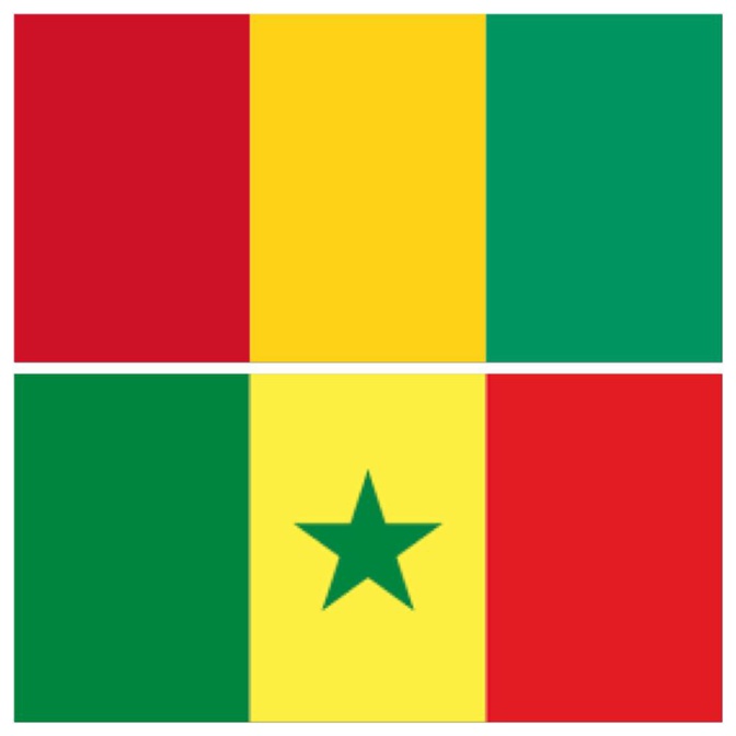 Sénégal face à la Guinée : L’autre match entre les deux peuples