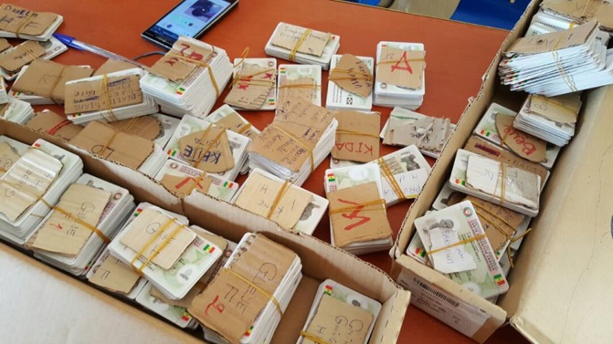 Diourbel : Plus de 3 400 cartes d’électeurs en souffrance dans le département (Préfet)