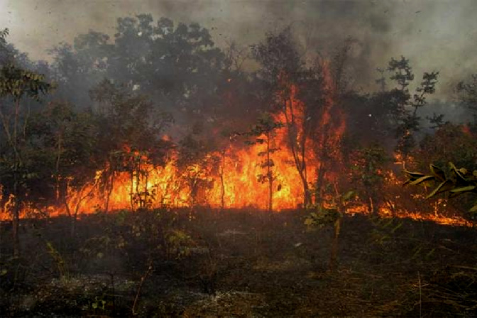 Saraya : Plus de 2 000 hectares du tapis herbacé brûlés par des feux de brousse en 15 jours (eaux et forêts)