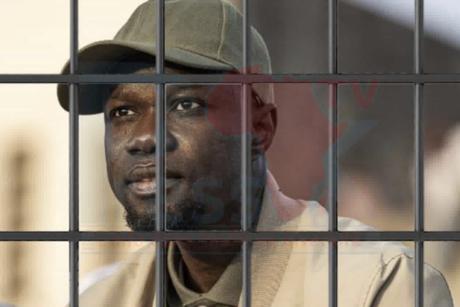 La Controverse Autour de l'Exclusion de l'Affaire Adji Sarr - Ousmane Sonko de la Loi d'Amnistie : Silence, Deals et Position des Députés Pro-Sonko