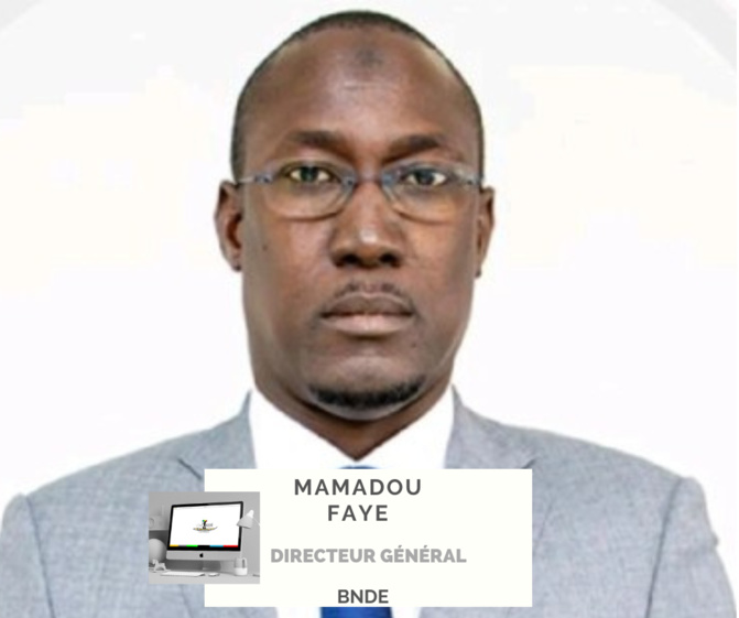 Mamadou Faye, nouveau DG de la  BNDE ,   Portrait de LedSen