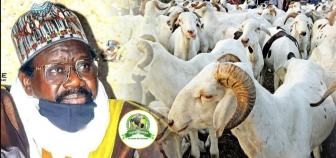 Imam Cheikh Aliou Cissé  a offert plus de 580 moutons pour la Tabaski