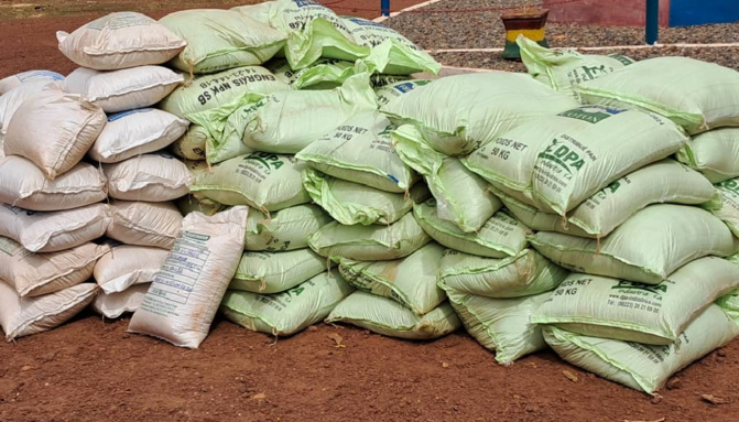 Kaffrine et ses supposés sacs de semences remplis de sable : Les agriculteurs nient en bloc
