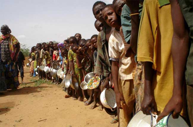 Matam: Un taux de malnutrition de 22,2% enregistré dans la région
