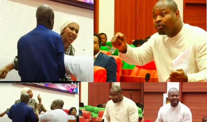Echauffourées « parlementaires » à Abuja : La CEDEAO condamne les dérives verbales du député Guy Marius Sagna
