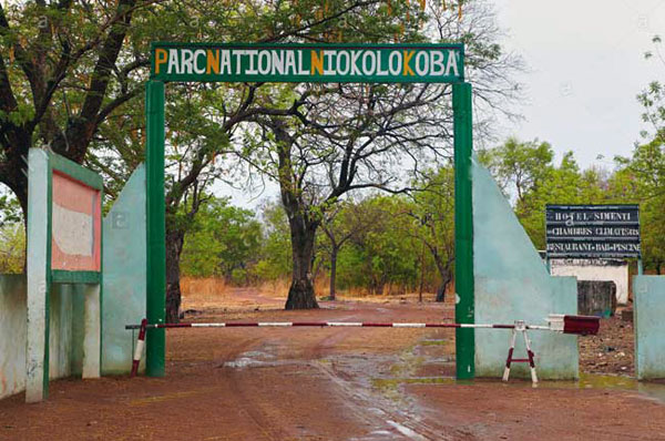 Le Sénégal réussit à retirer le Niokolo Koba, du Patrimoine mondial en danger