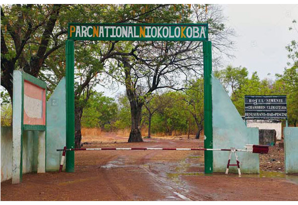 L’UNESCO retire le parc du Niokolo-Kaba de la liste du patrimoine mondial en péril