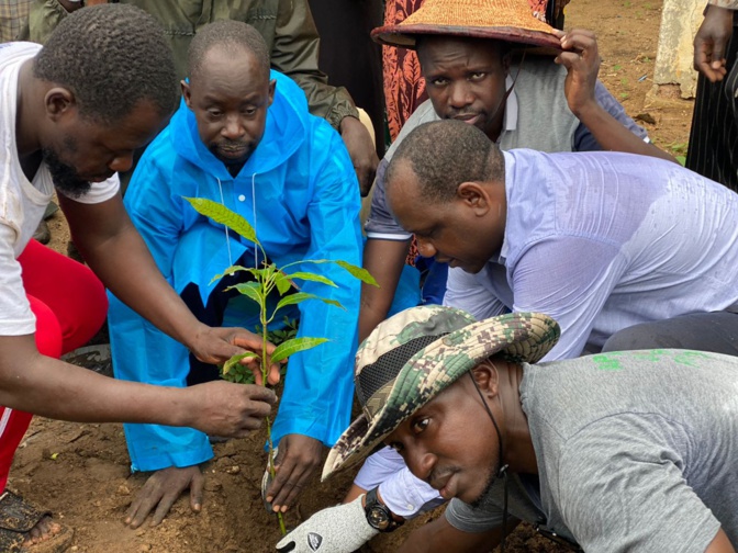 Journée nationale de l’arbre : Le maire de la commune de Sandiara, Aliou Gning perpétue la tradition