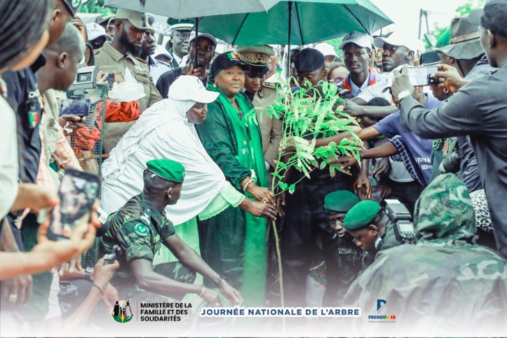 Photos/ Louga et Ndiagne : Mme Maimouna Dièye mobilise pour la Journée de l’arbre, édition 2024