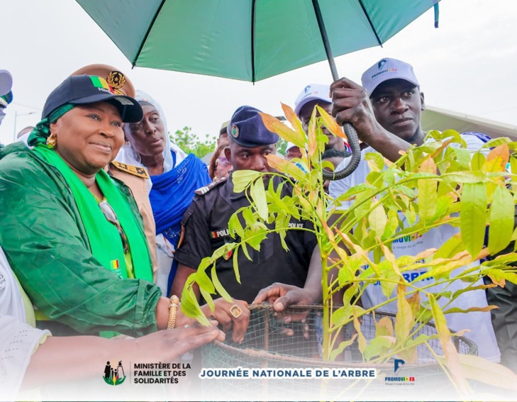 Photos/ Louga et Ndiagne : Mme Maimouna Dièye mobilise pour la Journée de l’arbre, édition 2024