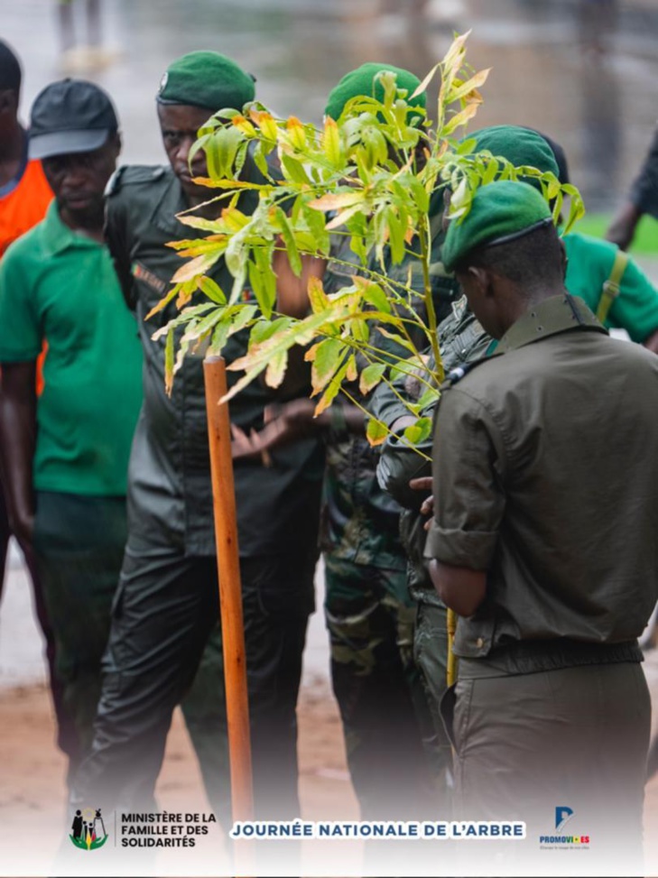 Photos/ Louga et Ndiagne : Mme Maimouna Dièye mobilise pour la Journée de l’arbre, édition 2024