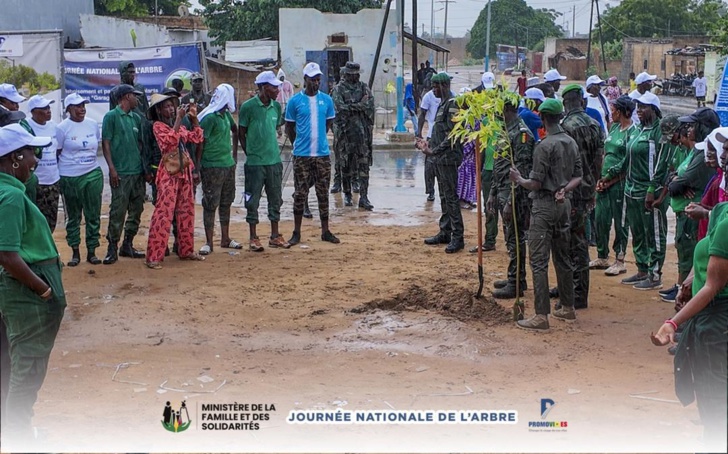 Photos/ Louga et Ndiagne : Mme Maimouna Dièye mobilise pour la Journée de l’arbre, édition 2024