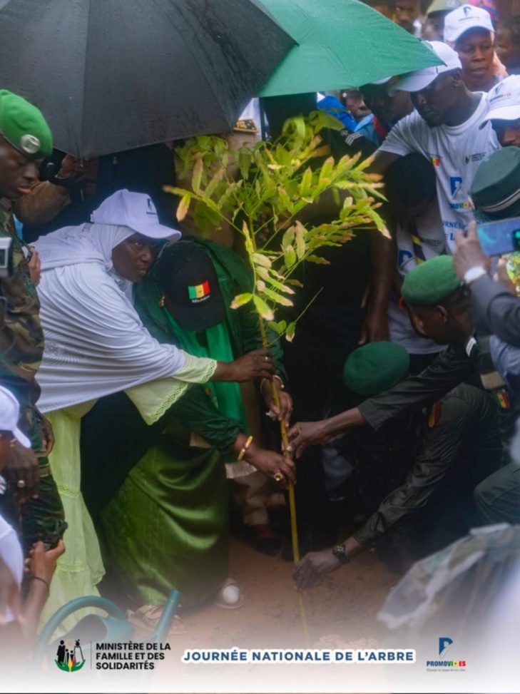 Photos/ Louga et Ndiagne : Mme Maimouna Dièye mobilise pour la Journée de l’arbre, édition 2024