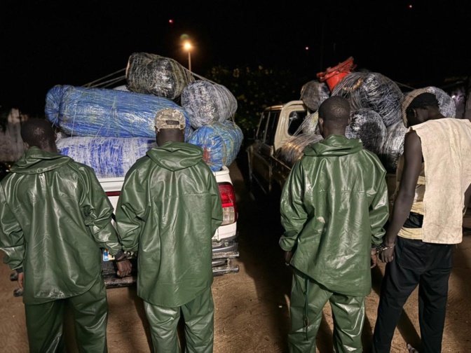 Djifère: 845 kg de chanvre indien saisis par la Brigade fluviomaritime des Douanes de Fimela (Photos)