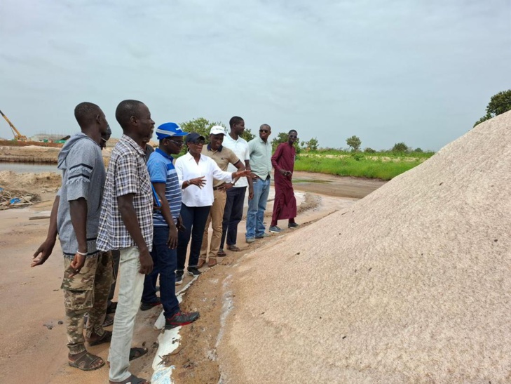 Photos / En tournée dans la zone Centre : Mme Aïssatou Ndiaye, nouveau Coordonnateur national du PNDAS, à la rencontre des acteurs des filières prioritaires du Projet Agropole Centre