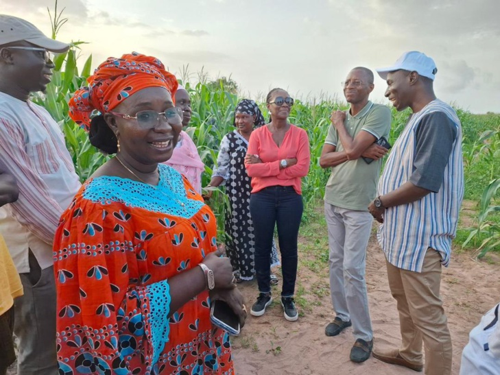 Photos / En tournée dans la zone Centre : Mme Aïssatou Ndiaye, nouveau Coordonnateur national du PNDAS, à la rencontre des acteurs des filières prioritaires du Projet Agropole Centre