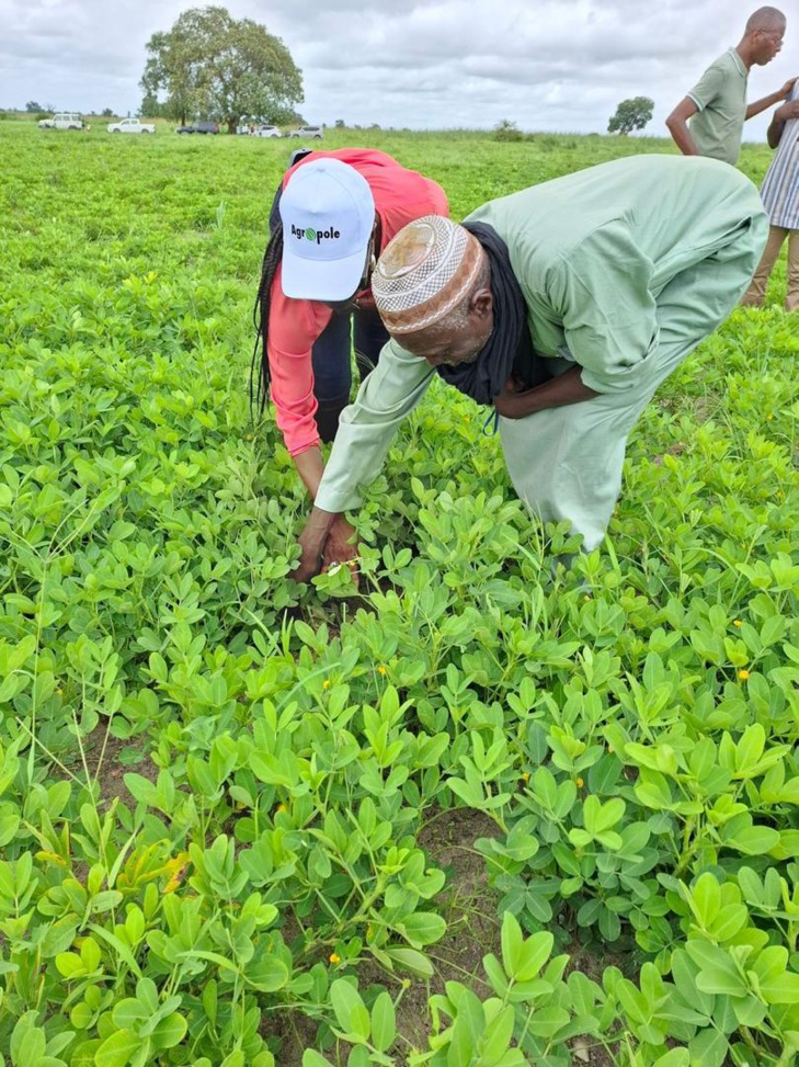 Photos / En tournée dans la zone Centre : Mme Aïssatou Ndiaye, nouveau Coordonnateur national du PNDAS, à la rencontre des acteurs des filières prioritaires du Projet Agropole Centre