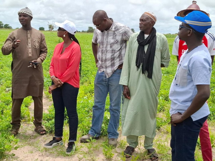 Photos / En tournée dans la zone Centre : Mme Aïssatou Ndiaye, nouveau Coordonnateur national du PNDAS, à la rencontre des acteurs des filières prioritaires du Projet Agropole Centre