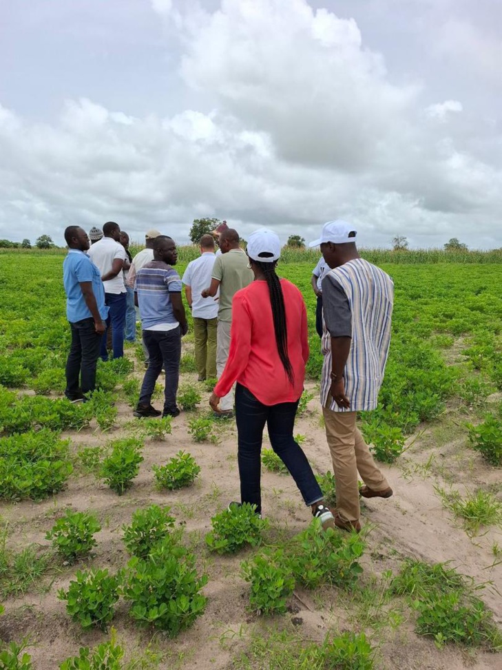 Photos / En tournée dans la zone Centre : Mme Aïssatou Ndiaye, nouveau Coordonnateur national du PNDAS, à la rencontre des acteurs des filières prioritaires du Projet Agropole Centre