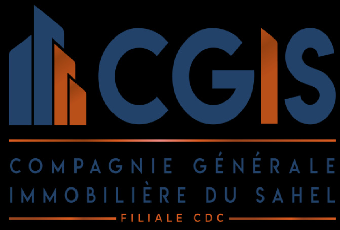 Compagnie générale immobilière du Sahel : Le DG de la CGIS, Aly Sy, limogé et remplacé par Mamadou Fall