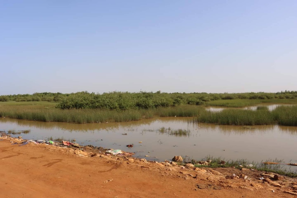 Visite de trois jours du ministre de l'Hydraulique et de l'Assainissement, dans les zones inondées par le fleuve Sénégal (Photos)