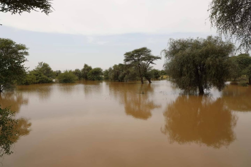 Crues du fleuve Sénégal : Le ministre de l’Hydraulique et de l'Assainissement à Saint-Louis (Photos)