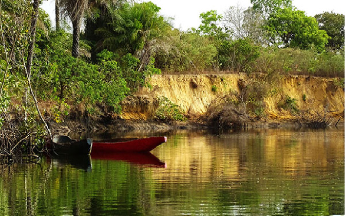 Kolda / Crise écologique sans précédent : Le fleuve Casamance à l’agonie