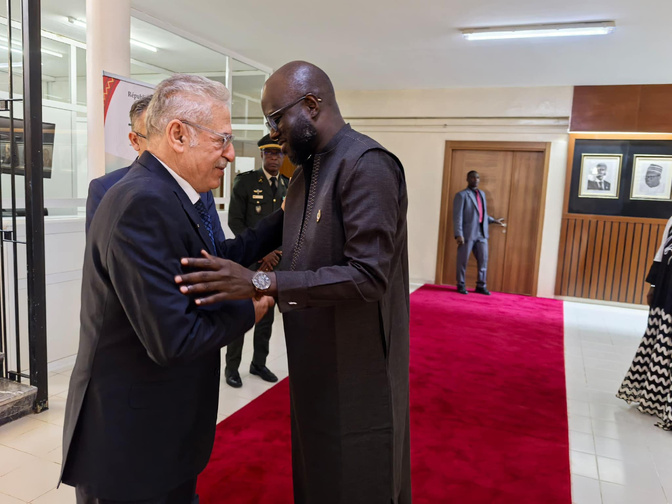 El Malick Ndiaye réitère le soutien du Sénégal aux efforts internationaux, pour instaurer la paix en Palestine