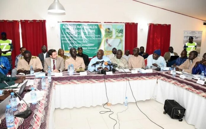 Assises Nationales du Riz à Saint-Louis : Vers une Riziculture Durable pour la Souveraineté Alimentaire