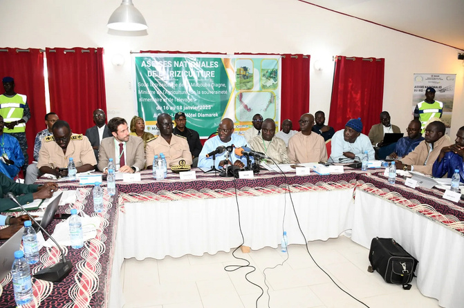 Clôture des Assises Nationales du Riz à Saint-Louis : Vers une Transformation de la Filière Rizicole Sénégalaise