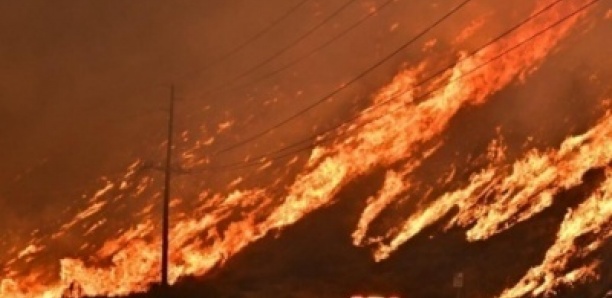 Un nouvel incendie fait rage au nord de Los Angeles, entraînant des ordres d'évacuation