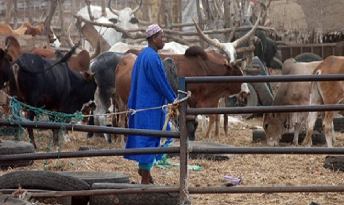 Partenariat avec les jeunes du ranch De Dolly : Mabouba Diagne annonce un investissement de 700 millions pour dynamiser l’élevage