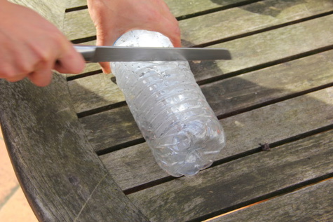 Pour faire pousser des légumes chez vous, il suffit d’une bouteille d’eau!